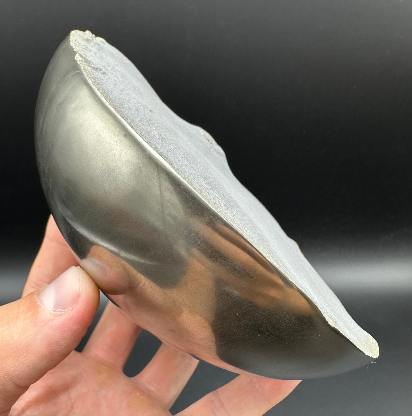 Golden Egg (GENUINE) Ammonite Fossil With Stand - Whitby, North Yorkshire Jurassic Coast Yorkshire Fossils