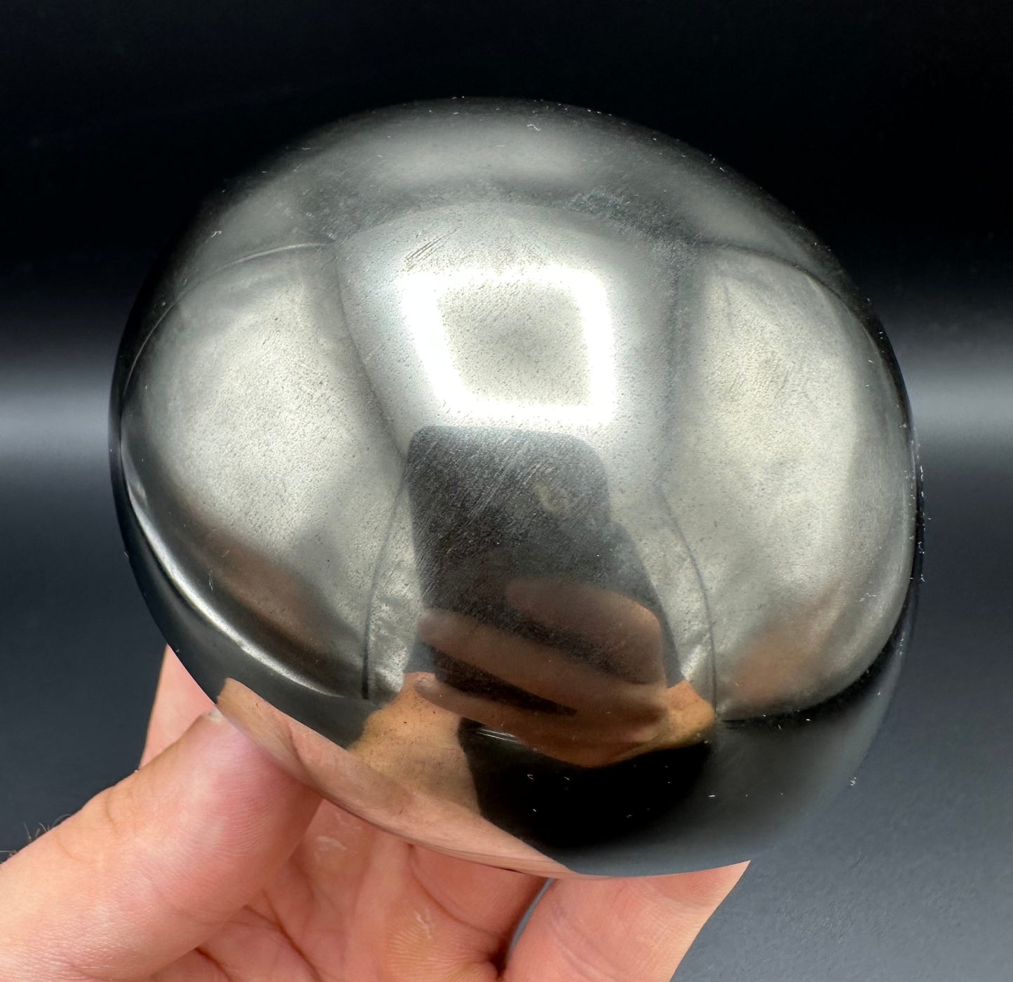 Golden Egg (GENUINE) Ammonite Fossil With Stand - Whitby, North Yorkshire Jurassic Coast Yorkshire Fossils