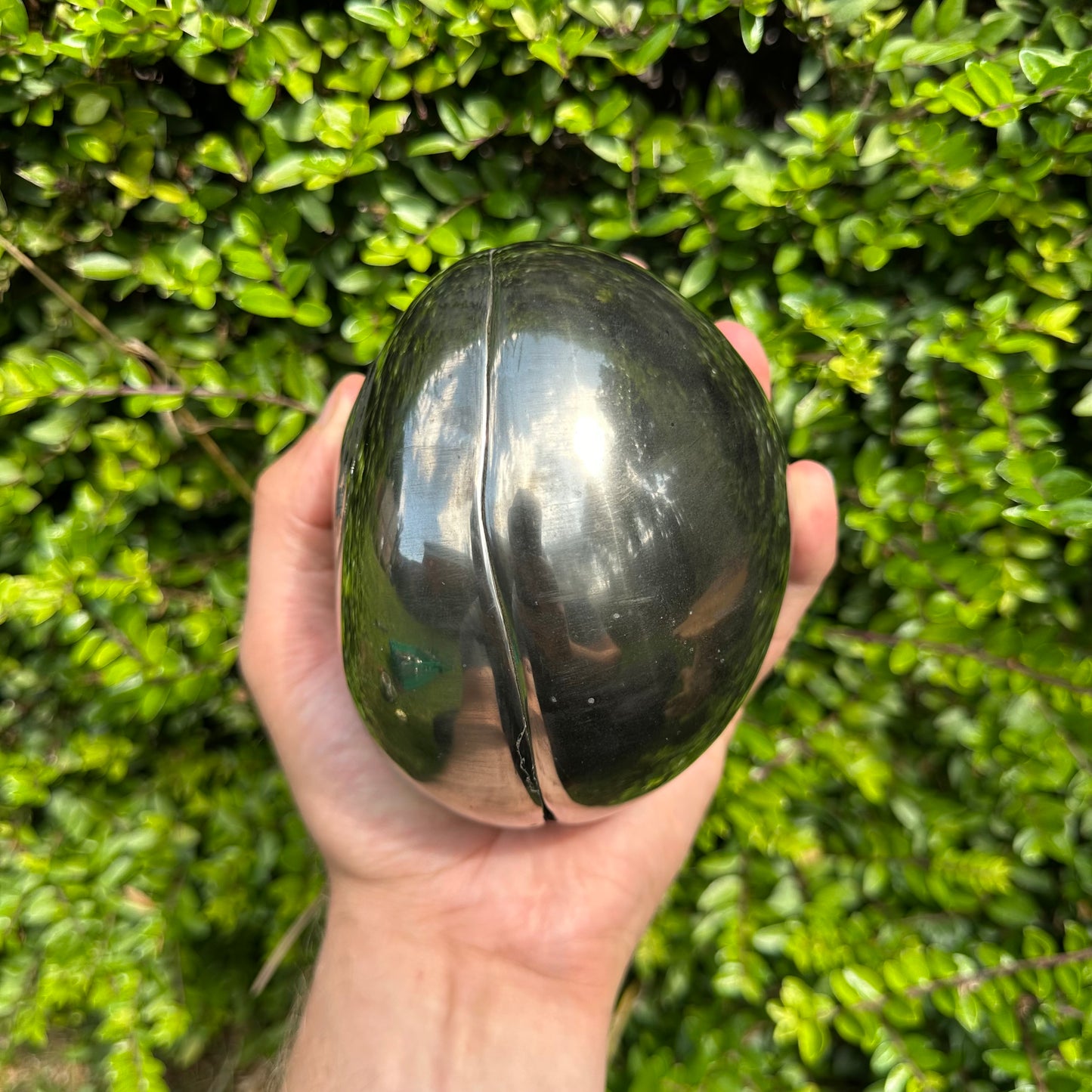 Golden Egg (GENUINE) Coprolite Fossil With Stand - Whitby, North Yorkshire Jurassic Coast Yorkshire Fossils