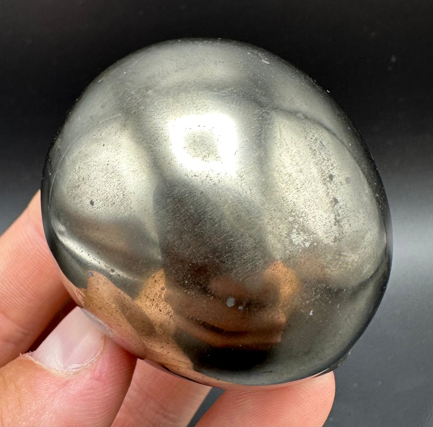 Golden Egg (GENUINE) Ammonite Fossil With Stand - Whitby, North Yorkshire Jurassic Coast Yorkshire Fossils