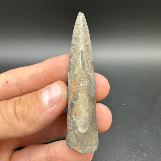 Belemnite (Fossil Squid) shell fossil - Whitby, North Yorkshire Jurassic Coast Yorkshire Fossils