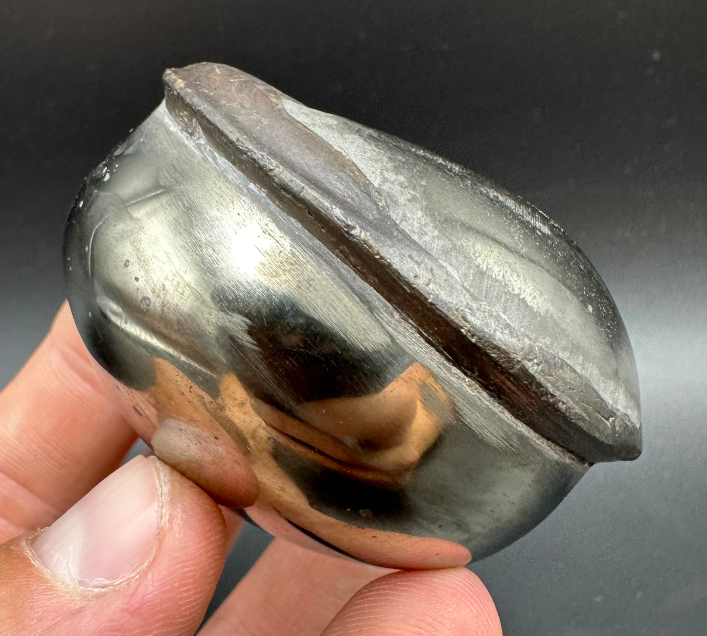 Golden Egg (GENUINE) Ammonite Fossil With Stand - Whitby, North Yorkshire Jurassic Coast Yorkshire Fossils