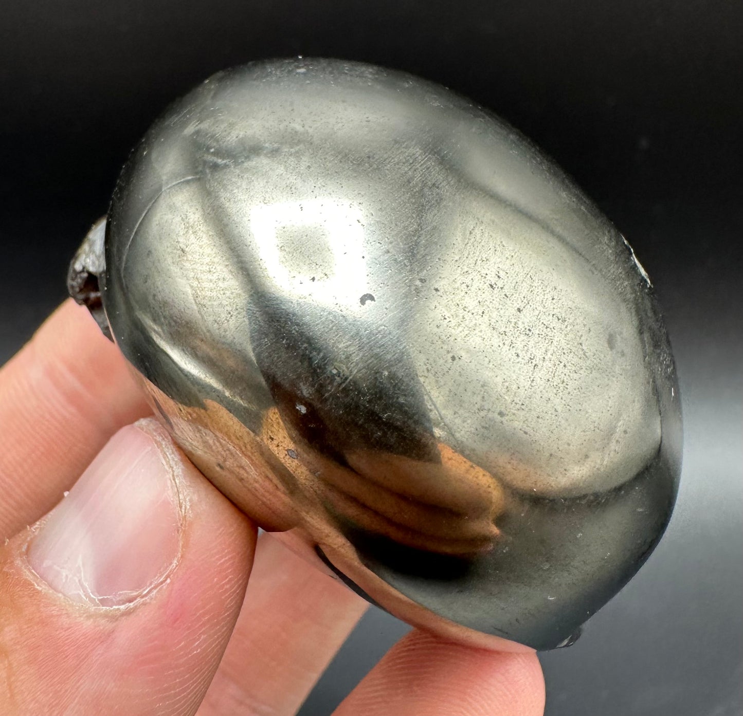 Golden Egg (GENUINE) Ammonite Fossil With Stand - Whitby, North Yorkshire Jurassic Coast Yorkshire Fossils