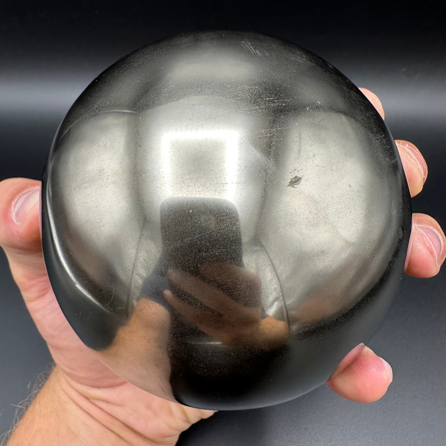 Golden Egg (GENUINE) Ammonite Fossil With Stand - Whitby, North Yorkshire Jurassic Coast Yorkshire Fossils