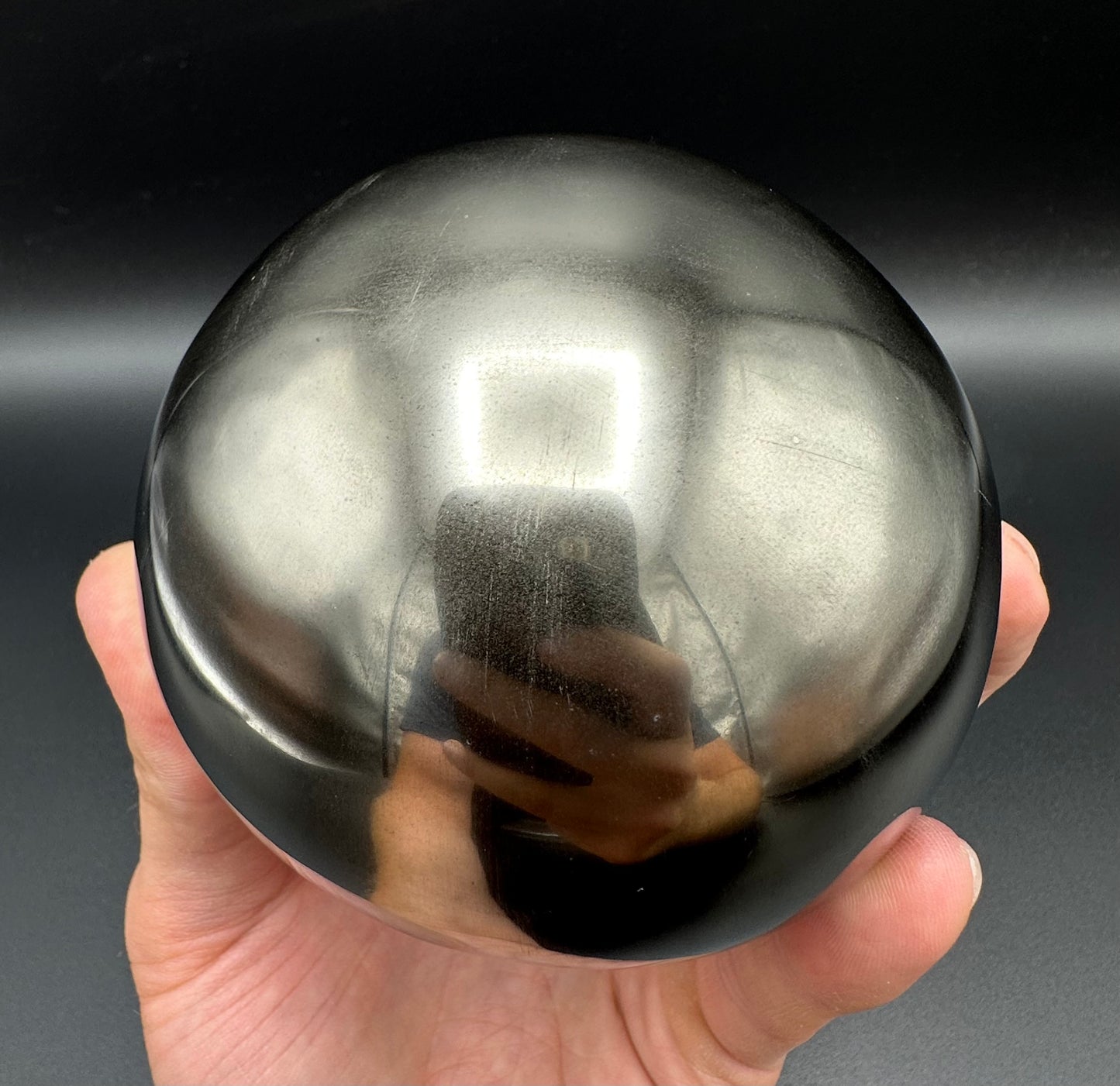 Golden Egg (GENUINE) Ammonite Fossil With Stand - Whitby, North Yorkshire Jurassic Coast Yorkshire Fossils