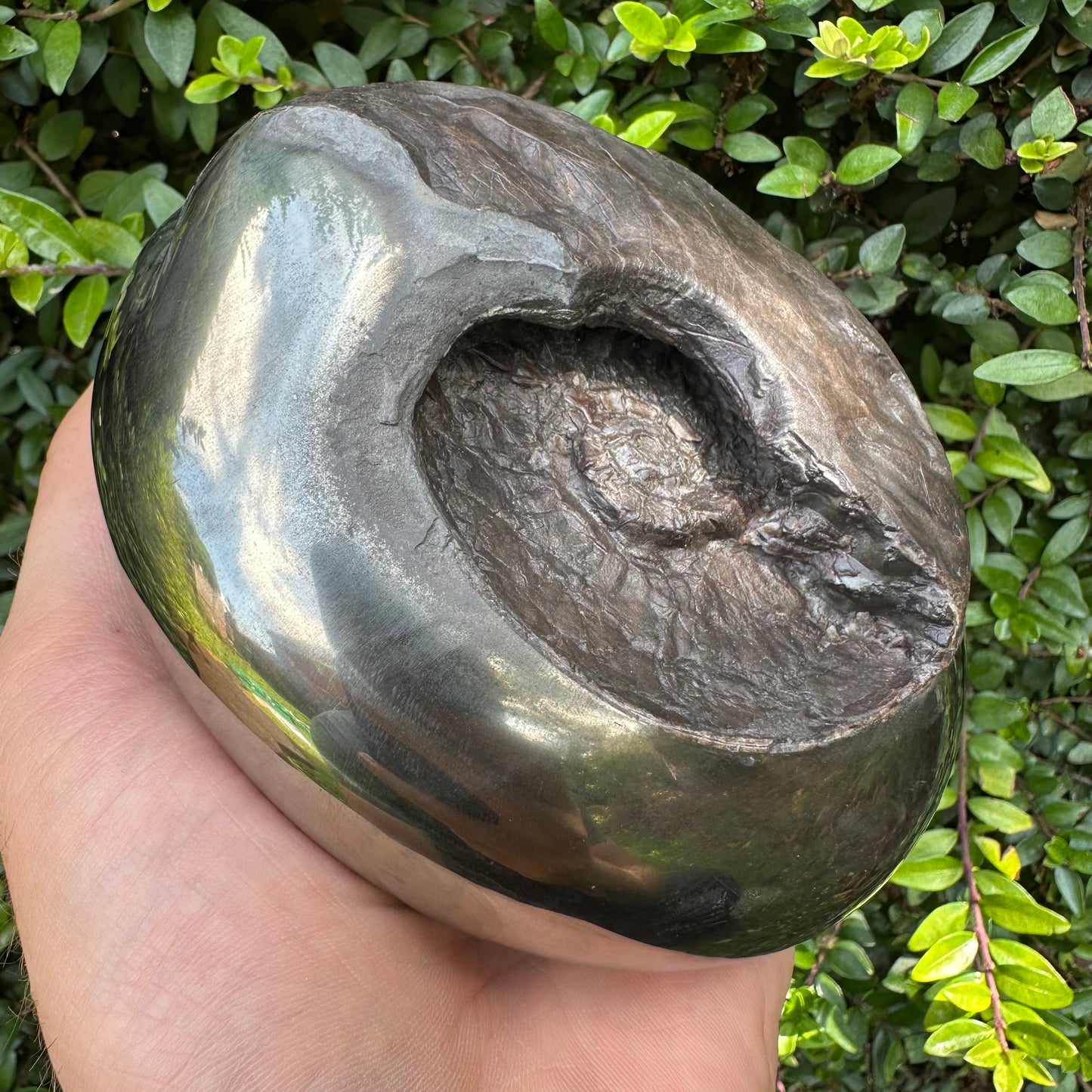 Golden Egg (GENUINE) Ammonite Fossil With Stand - Whitby, North Yorkshire Jurassic Coast Yorkshire Fossils