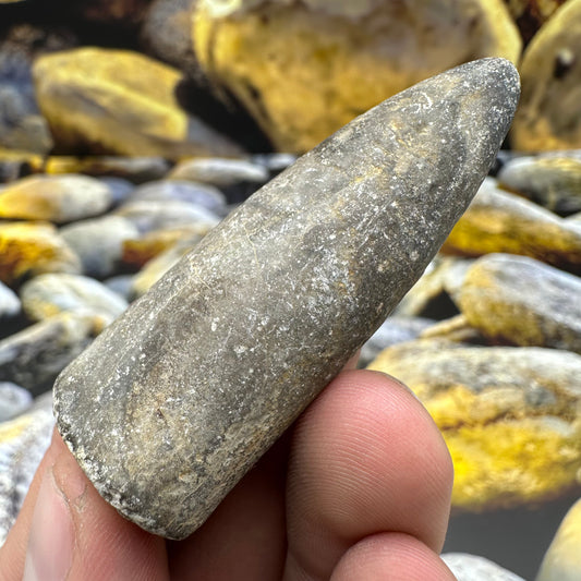 Belemnite (Fossil Squid) shell fossil - Whitby, North Yorkshire Jurassic Coast