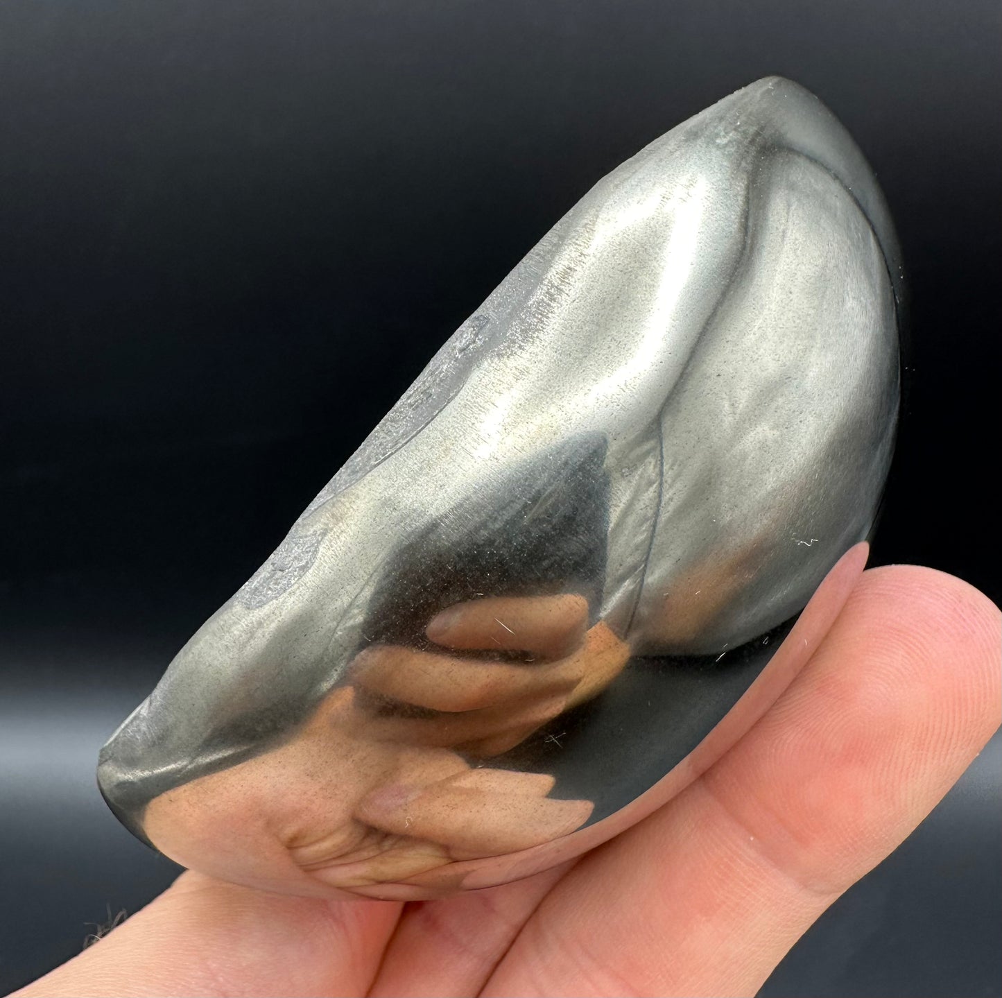 Golden Egg (GENUINE) Ammonite Fossil With Stand - Whitby, North Yorkshire Jurassic Coast Yorkshire Fossils