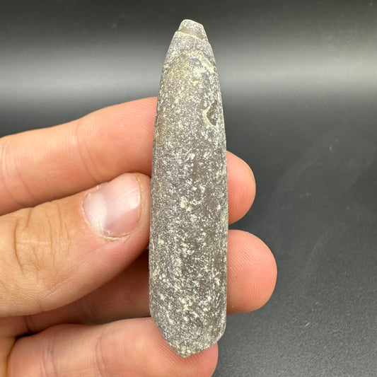Belemnite (Fossil Squid) shell fossil - Whitby, North Yorkshire Jurassic Coast Yorkshire Fossils