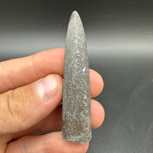 Belemnite (Fossil Squid) shell fossil - Whitby, North Yorkshire Jurassic Coast Yorkshire Fossils
