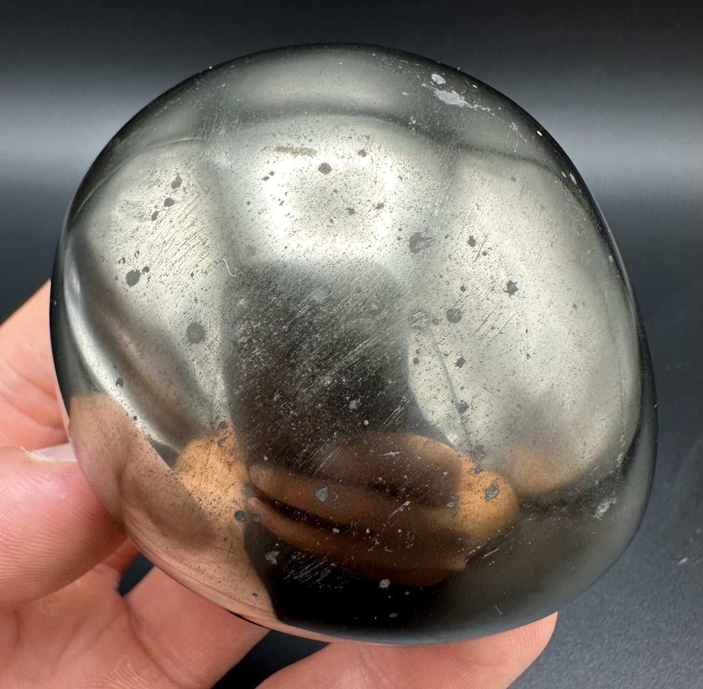 Golden Egg (GENUINE) Ammonite Fossil With Stand - Whitby, North Yorkshire Jurassic Coast Yorkshire Fossils